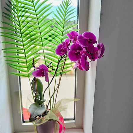 Grey Luxury House Apartman Ípszosz Kültér fotó