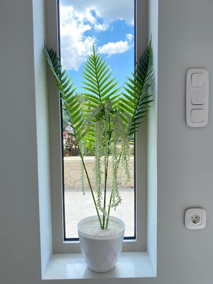 Grey Luxury House Apartman Ípszosz Kültér fotó