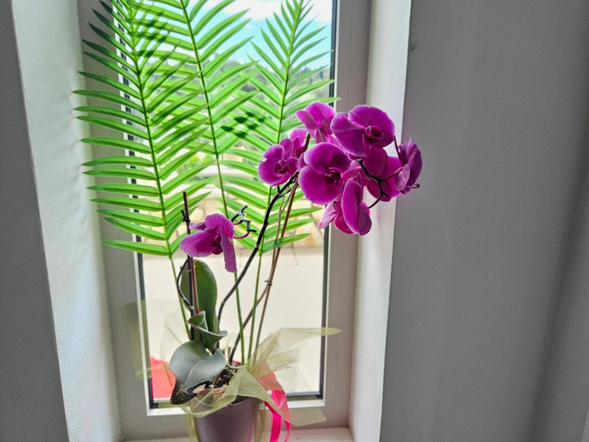 Grey Luxury House Apartman Ípszosz Kültér fotó